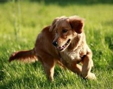 С���Ա����ô�죿