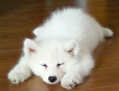 ������θ������ʲô�ã�