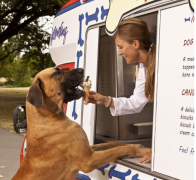 �������೦θ������ô�죿