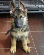 ������ô���ƣ���ô���������ƣ�