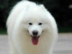 ��ĦҮ�Բ�ԭ��ͼ��