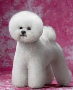 ������ͷ��������ô�죿��ͼ��