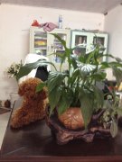 ̩����������ô�죿