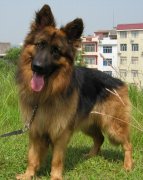 ��ô���������ƣ�ͼ��