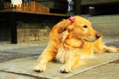 �������೦θ������ô�죿