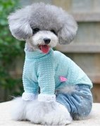 ��������ʲô���ƣ�ͼ��