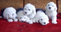 ����Ϊʲô���ࣿ��ͼ��