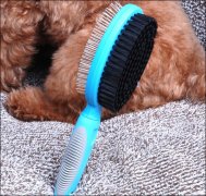 ���칷�����׵�ë��ô�죿