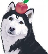 ����ƶѪ��ôι������Ҫ��ʲô�ã���ͼ��