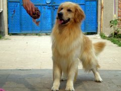 ��ô����ëȮ������ã�