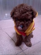 ̩����ô������ã���ͼ��