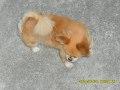 ����ȱ�Ƶı�������Щ