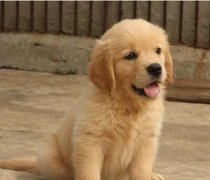 ��������վ����������ô��