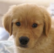 ������ë�����ô��?��ͼ��