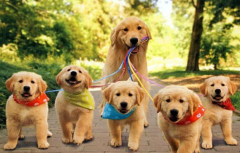 �󹷳�θ���ó�ʲô