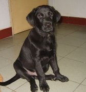 ��������ë��������ô�죿��ͼ��