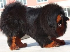 ���ḹк��ô�죨ͼ��