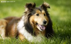 ���������ڼ��ʲô���ƣ�