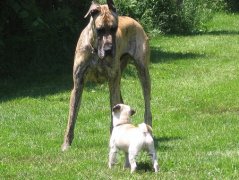 ���������ڼ��ʲô���ƱȽϺã�