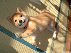 ����Ӫ����ʣ��ô�죿��ͼ��