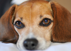 �����µĹ�����ϡ��ʲô