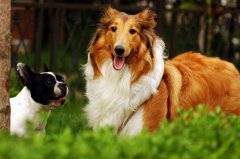 ����ȱ����ô�죿