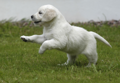 ������ô���ƺã�