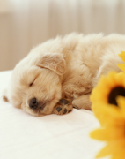 �����Ĳ�����֢��ô�죿