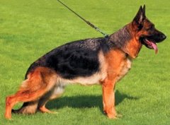 ���Ϊ�������ƣ���ͼ��