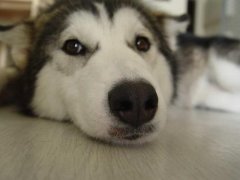 �������Ӹ���ô�죿��ͼ��