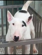 ������ë������ô�죿��ͼ��