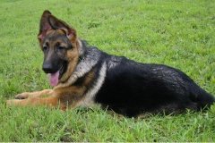 ����Ȯ�����ȷ���ƣ�