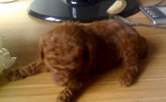 ���������ͳ�ʲô