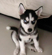 ������������������