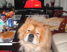 �����»�ˮ��ô�죿