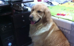 �����µĹ�����θ������ô�죿