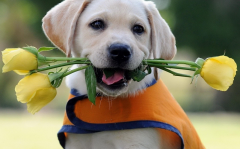 ��ô������Ƿ�ȱ��