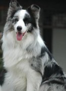 ��ô����������