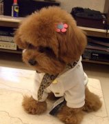 ������ͻȻ�����ô�죿��ͼ��