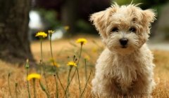 �����ڹ���Ż����ô�죿��ͼ��