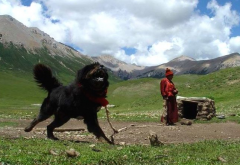 ���������������ô���£�