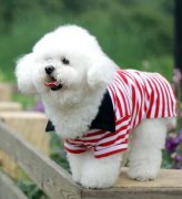 ���ܺ���������ô�죨ͼ��