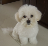 ����������ô����