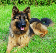 �ǹ���ȳ��ô��