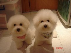 ������ë��ô�죿��ͼ��