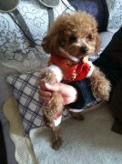 ��������ڳ�ʲô��