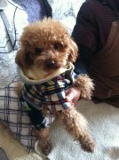 ̩�Ϻ���ȳ��ô��