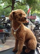 ̩�ϻ�������Ҫע��ʲô��