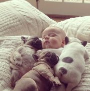 ������ë��ԭ��Ӧ�԰취��ͼ��