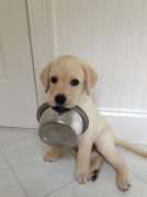 ��ë��Ȯ��ʲô��